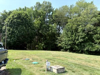 IMG_9083.jpg