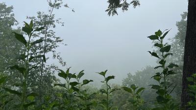 IMG_9232.JPG